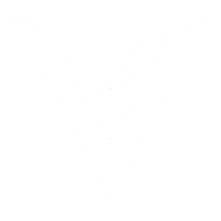 VIRTU MALL LLC